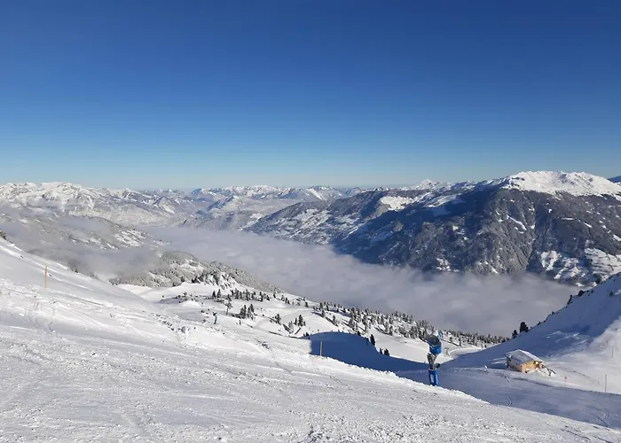 德尼斯公寓酒店 * 菲根